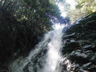 IMGP9217_sh01.JPG (104.69 KiB) 閲覧された回数 11859 回 F3