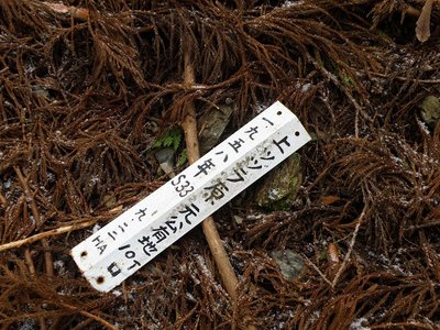 落ちてたプレート