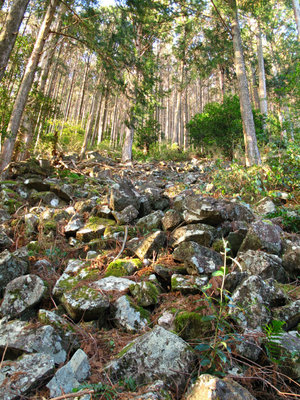 IMG_4602.jpg (588.28 KiB) 閲覧された回数 3074 回 岩のライン