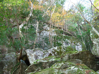 IMG_4613.jpg (541.98 KiB) 閲覧された回数 3074 回 大岩がいっぱい