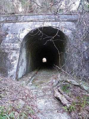 トンネル.jpg (109.39 KiB) 閲覧された回数 8656 回 トンネル