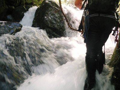 どこから抜けようか