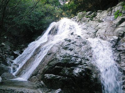 カニグチ谷のＦ１