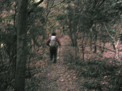 ● 夜明け前の道