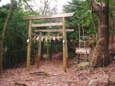 ● 寄進の鳥居がなんぼんも立てられてる。