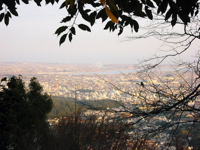 ● 宮川河口を見る、遠くに富士山も見えるんだろうな