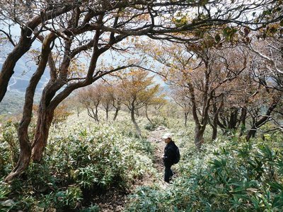 P1070097_sh01.JPG (185.51 KiB) 閲覧された回数 7405 回 石榑峠へ