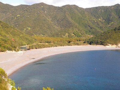 正月２日の芦浜