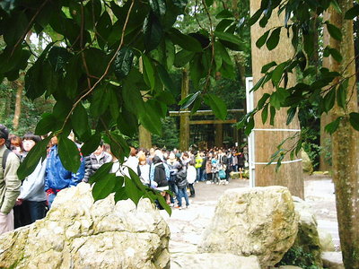 ● 椿神社は長蛇の列、車もすごい列でいつに神殿に着くのかなあ。