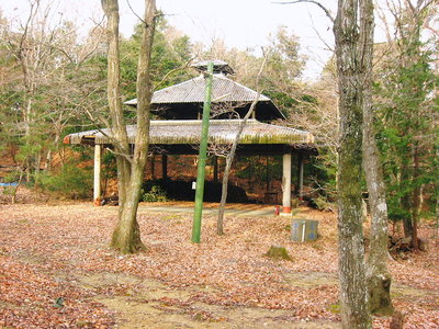 ● キャンプ場、キノコも上がるんだろうなあ思いました