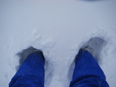 DSCF8491.jpg (85.06 KiB) 閲覧された回数 5223 回 今一歩の積雪@明神平。