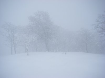 明神平の風雪はキツかった～。