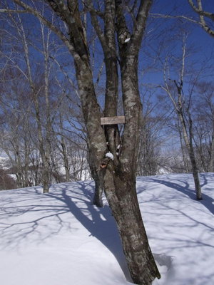 RIMG0098_1.JPG (99.11 KiB) 閲覧された回数 16203 回 素朴なトガス山頂