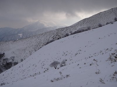 DSC00105.jpg (315.5 KiB) 閲覧された回数 12702 回 太陽が降ってくる