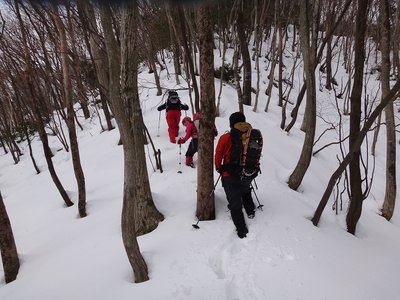 DSC00088.jpg (442.64 KiB) 閲覧された回数 12760 回 ナナツヤマ尾根を行く