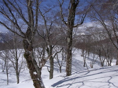 RIMG0111_1.JPG (131.4 KiB) 閲覧された回数 16213 回 うねる雪と影の戯れ