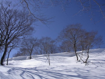 RIMG0173_1.JPG (92.16 KiB) 閲覧された回数 16203 回 Ca1090m直下のミニ雪庇