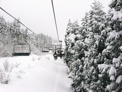 ●　ボンボンと雪が降る、もっと積もらなければ森に入れないよ