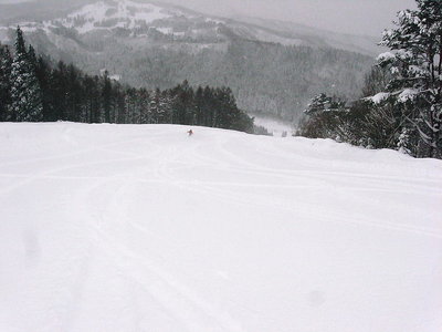 ● パウパウを滑る、誰もいない