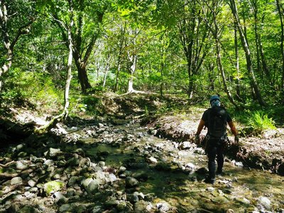 東前の谷の平流域