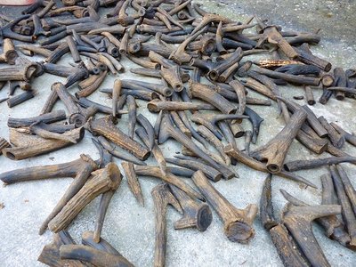 通行手形たたき売り