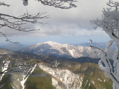 今日の檜塚の樹氷と高見山