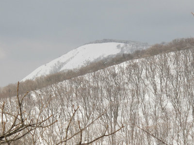 東のボタンブチ