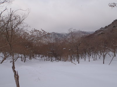 P1080014.JPG (680.52 KiB) 閲覧された回数 5935 回 トレースなし