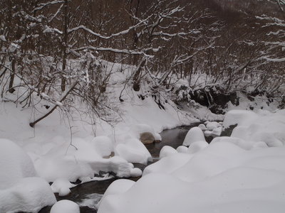 2.JPG (668.67 KiB) 閲覧された回数 5935 回 タケ谷