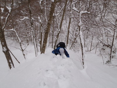 3.JPG (662.18 KiB) 閲覧された回数 5935 回 腰ラッセル