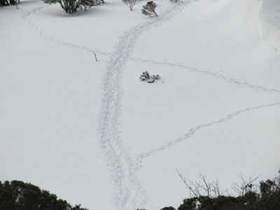 IMG_7044.jpg (109.35 KiB) 閲覧された回数 12341 回 外れてるのは私のトレース