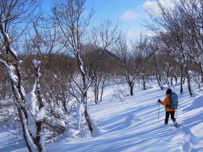 DSCN2856.JPG (202.51 KiB) 閲覧された回数 6272 回 藤原岳の西端を行く