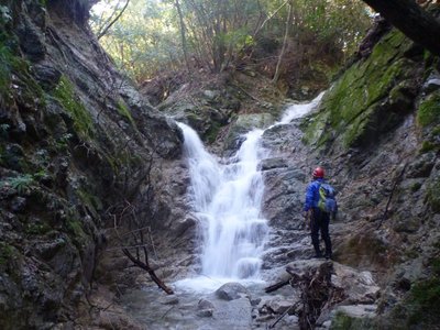 カニクチ谷　Y字滝