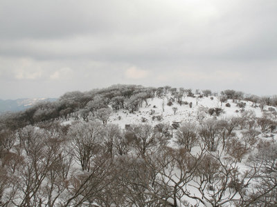 IMG_4689.jpg (283.48 KiB) 閲覧された回数 7399 回 テーブルランド