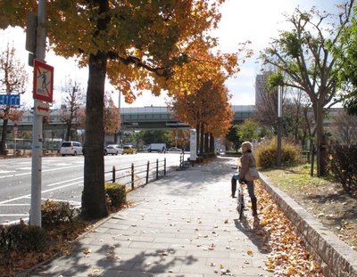 大阪城からＮＨＫの前まできたら、ほ～ら秋の景色や～