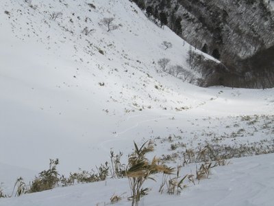 ホタガ谷からのトレース