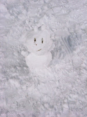 ● 可愛い達磨さんはトトロかな（＾＾）