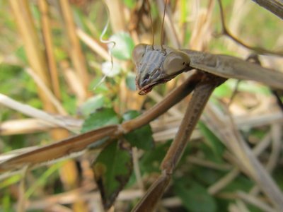 IMG_5068.jpg (87.29 KiB) 閲覧された回数 10397 回 私の子供にさわらないで!