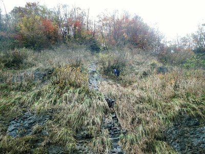 IMGP0062.JPG (152.33 KiB) 閲覧された回数 6226 回 懸垂の3ピッチ目