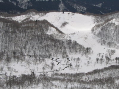 ● 和田山高原には春になるとハートマークが出るよ