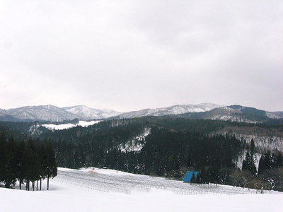 ● イトシロの畑、遊び場は広大だよ