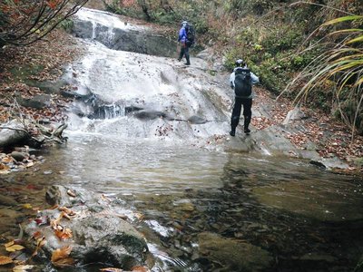 雨に洗われたナメ