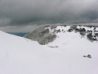 ● 小さなセッピだ二月は雪が増えるかなあ