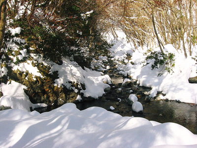 ● コクイ谷であい、未だダレも歩いてないようだな