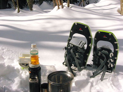 ● 春山だよなあ、明るい日差しにコガラが鳴いてるよ