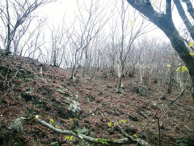 IMGP0297.JPG (164.58 KiB) 閲覧された回数 3724 回 源流域へ