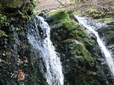 IMGP0247_sh01.JPG (147.28 KiB) 閲覧された回数 3726 回 4m二条