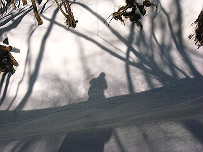 ● 影法師といつも一緒だ、周囲が明るいほど蔭はハッキリするよね