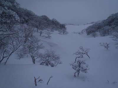 20120115-28.jpg (79.37 KiB) 閲覧された回数 9314 回 真の池