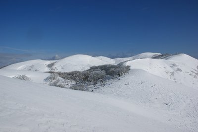 DSC05475-1.jpg (77.75 KiB) 閲覧された回数 6458 回 西南尾根